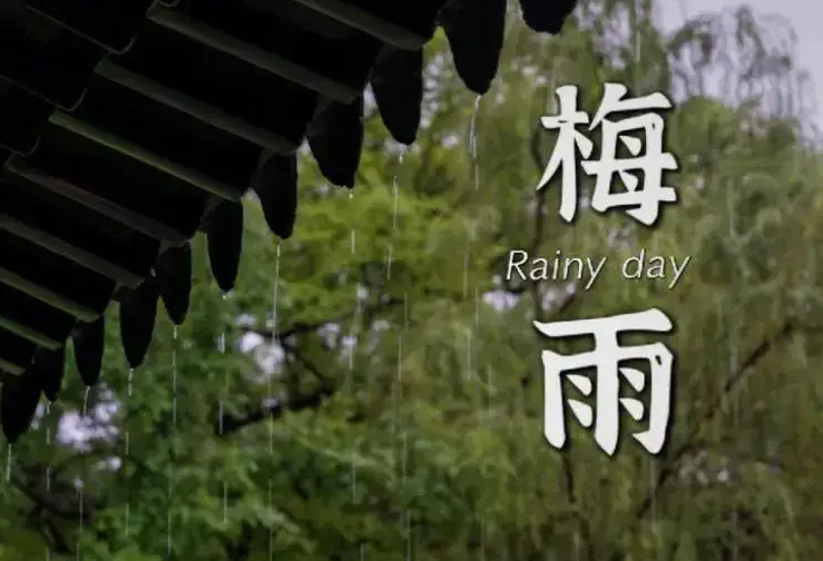 金煌四時(shí)煥新寶典｜小滿特輯：告別“霉味”實(shí)用指南
